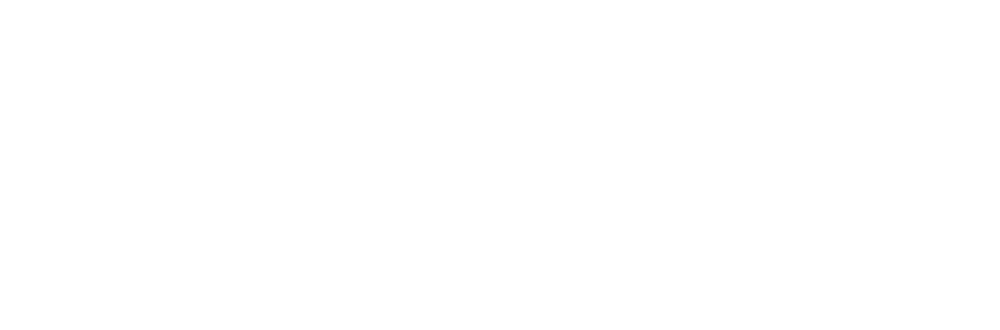 Dr Indika